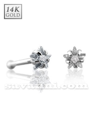 Nenäkoru valkokulta tähti