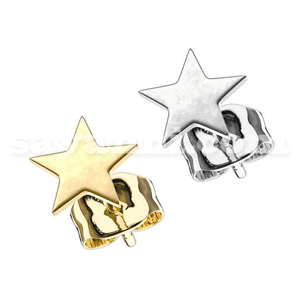 Earring Surgical Steel Star
