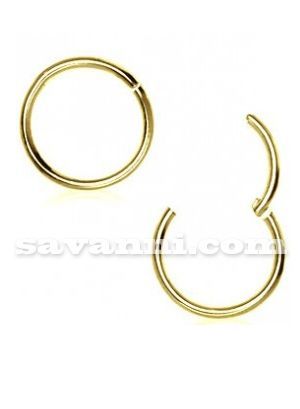 0.8mm Gold-Colored Hinged Segment Ring Clicker