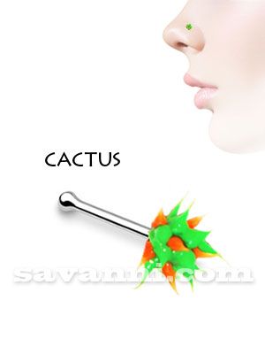 Hopea Nenäkoru Pallotaustalla Piikkipallo Cactus